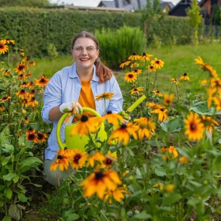 A person kneels in a garden surrounded by blooming yellow and orange flowers, holding a green watering can, with greenery and houses in the background.