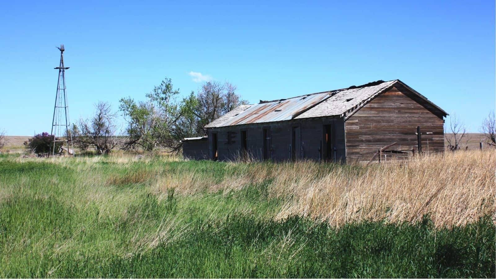 An old, weathered wooden building with a rusted roof sits in a grassy field, with a windmill and trees in the background under a clear blue sky.