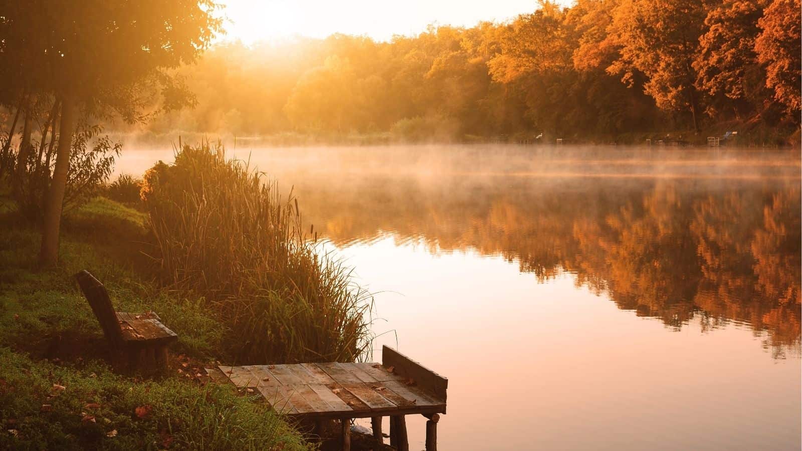 A wooden dock and bench sit beside a calm lake surrounded by trees with autumn foliage under early morning sunlight and mist.