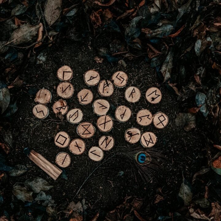 Small wooden discs with carved Norse runes rest on dark soil, surrounded by dry fallen leaves and a peacock feather, inviting contemplation of rune meanings.