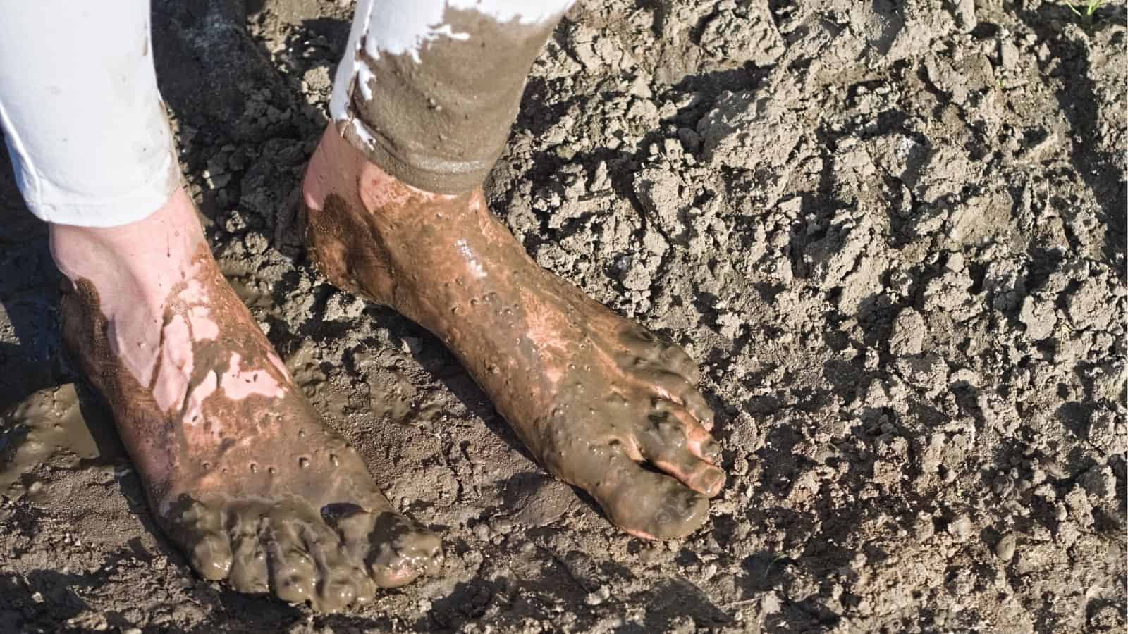 A person standing barefoot in wet, thick mud, with mud covering their feet and part of their lower legs.