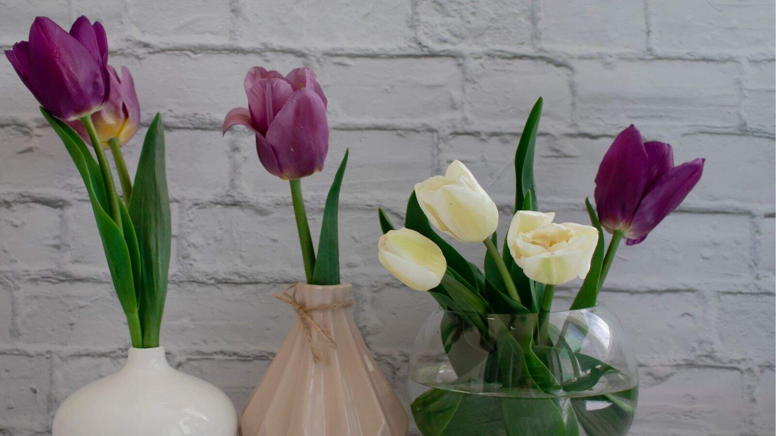 Three vases with tulips—two containing purple flowers and one with white—are arranged in front of a white brick wall.