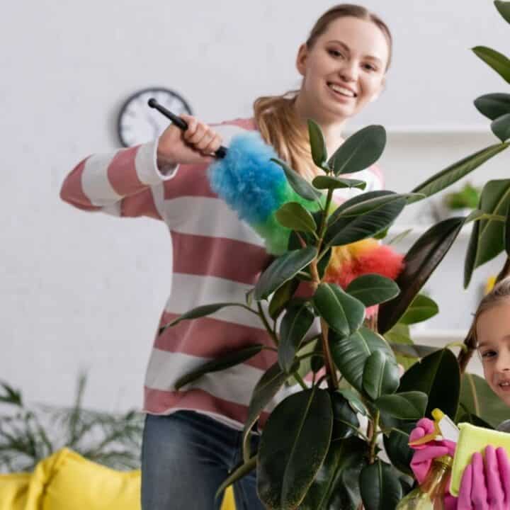 A woman dusts a large indoor plant with a duster while a young girl holds cleaning supplies, both smiling in a living room.