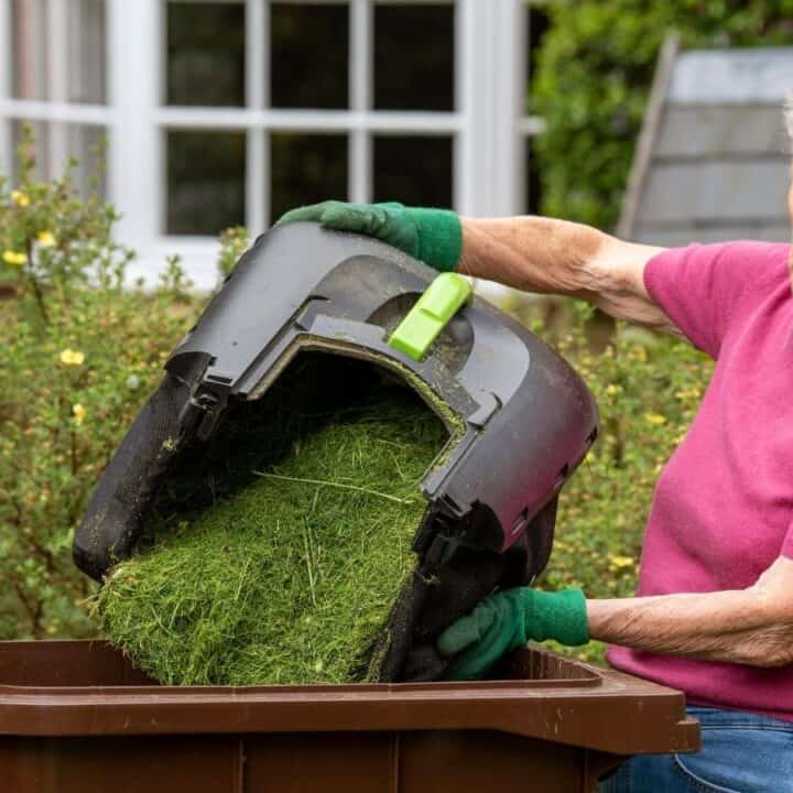 An older woman wearing gloves empties a lawn mower's grass clippings into a brown garden waste bin outdoors.
