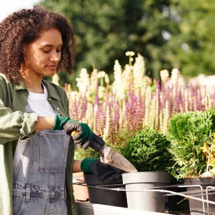 A person wearing gloves and overalls uses a trowel to tend to potted plants on an outdoor table, surrounded by various green and flowering plants.