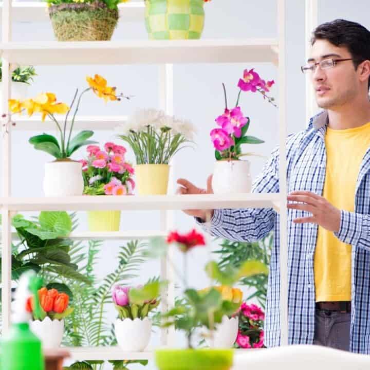 A man in a yellow shirt and plaid overshirt stands next to shelves filled with various potted plants and flowers in a bright room.