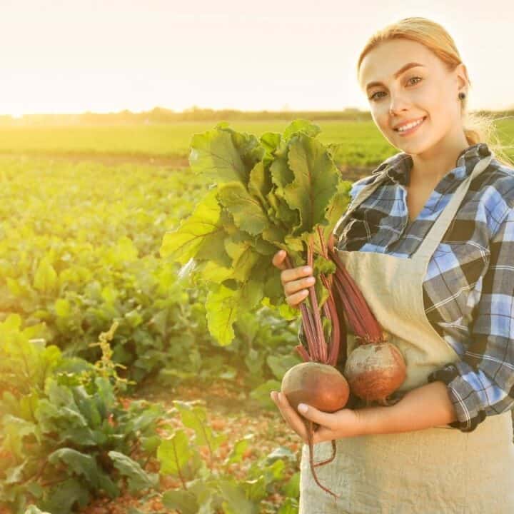 A woman wearing an apron and plaid shirt stands in a vegetable field, holding freshly harvested beets, with sunlight shining in the background.