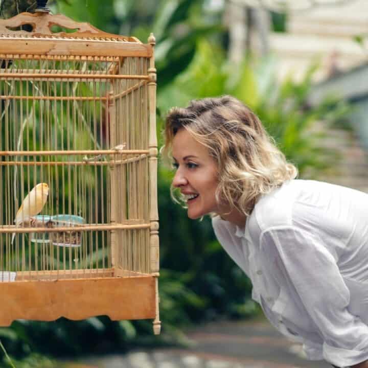 A woman in a white shirt leans toward a wooden birdcage outdoors, looking at a yellow bird inside.