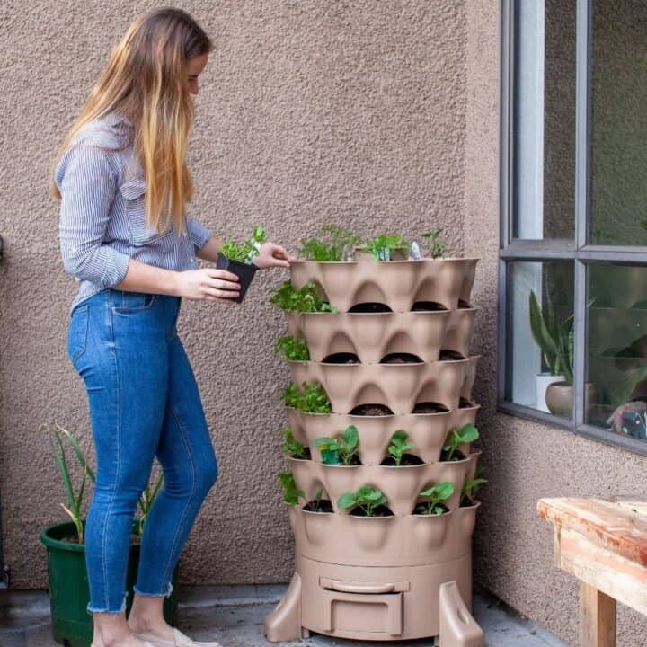 A woman tends to plants growing in a tiered vertical planter on a patio next to a window, with gardening tools and a red watering can on a table nearby.