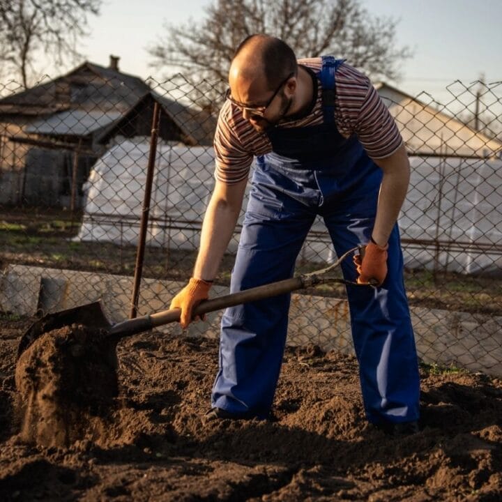A man wearing blue coveralls and gloves is digging soil with a shovel in a garden near a wire fence and houses.
