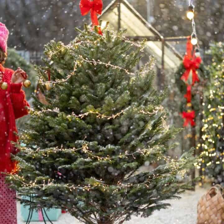 A person in a red sweater and hat decorates an outdoor Christmas tree with ornaments and lights while snow falls. The scene includes festive decorations and greenery.