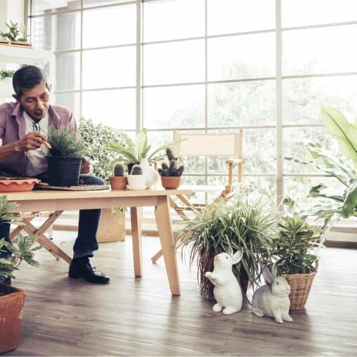 A man sits at a table indoors, tending to a potted plant, surrounded by various houseplants and sunlight streaming through large windows.