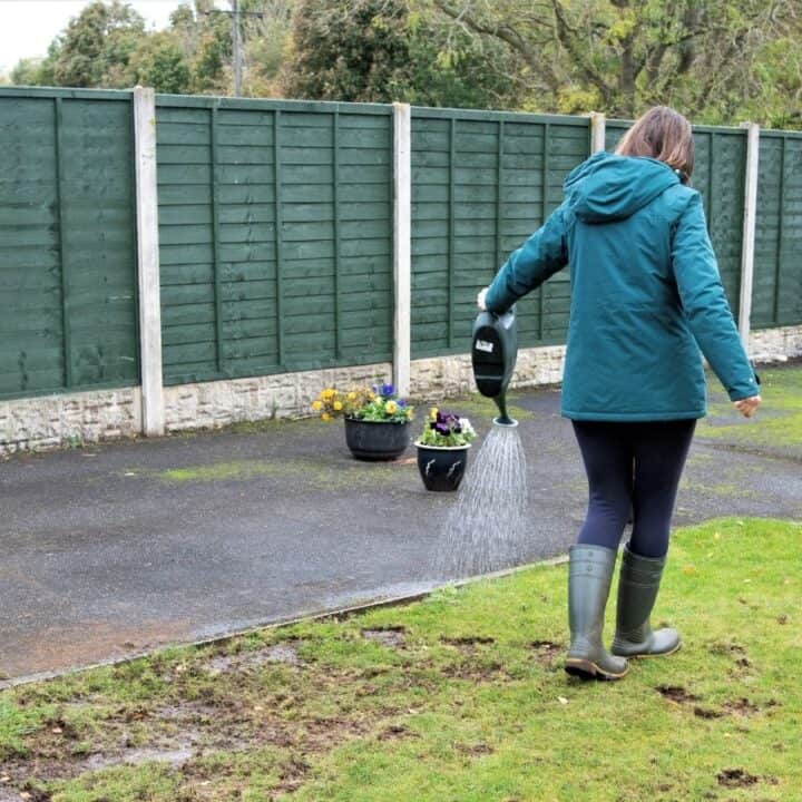 A person in a teal jacket and boots waters plants on a grassy lawn near a paved area and a green wooden fence.