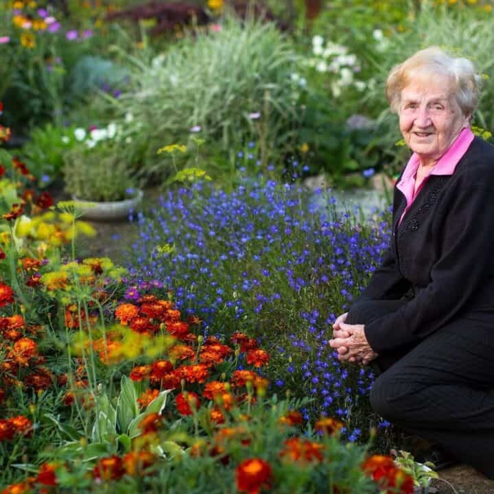 An elderly woman in a pink-collared shirt and black clothing kneels in a colorful flower garden, surrounded by various blooming plants.
