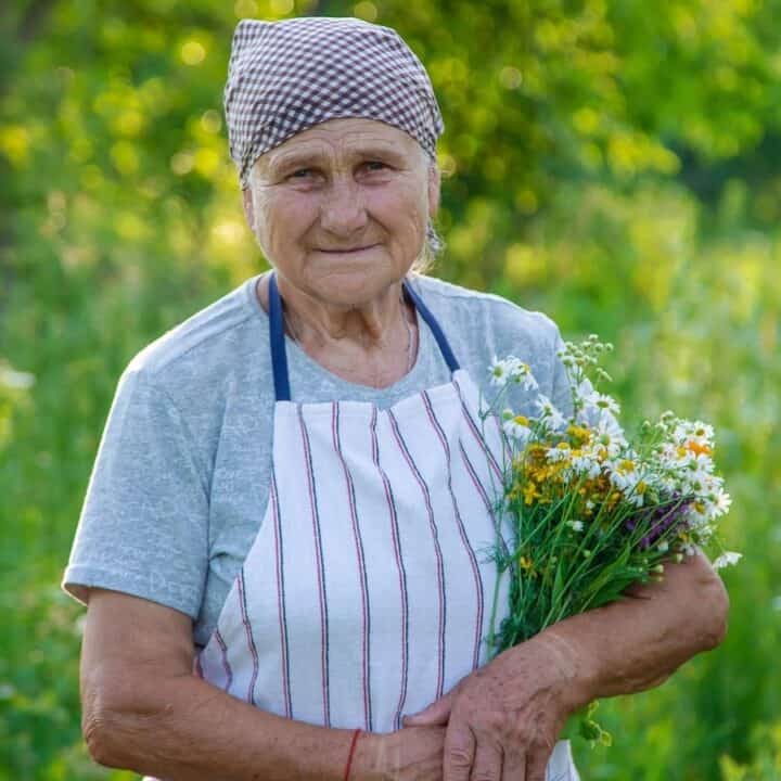 Elderly woman wearing a headscarf and apron stands in a grassy field, holding a bouquet of wildflowers.