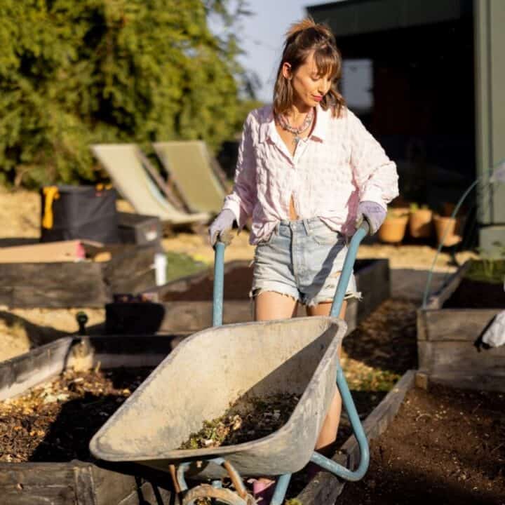 Woman in shorts and gloves pushes a wheelbarrow through raised garden beds on a sunny day, with gardening tools and structures visible in the background.