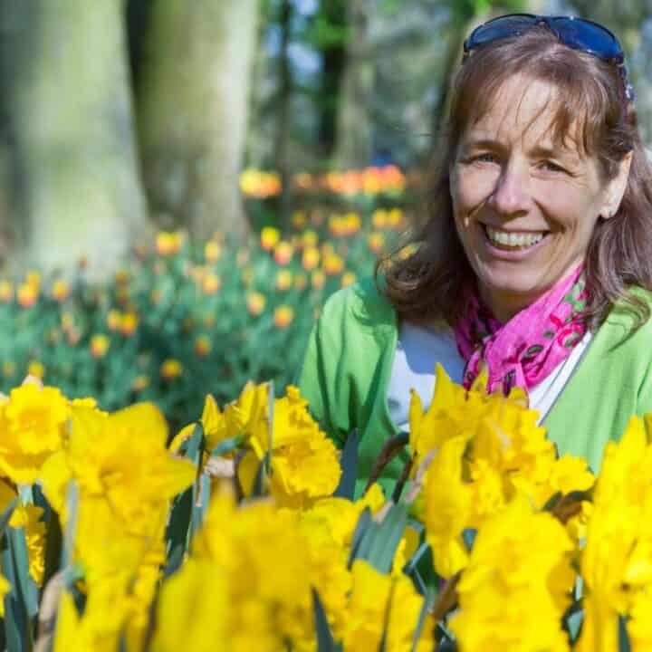 A woman in a green sweater and pink scarf smiles while standing among bright yellow daffodils in a sunlit garden.