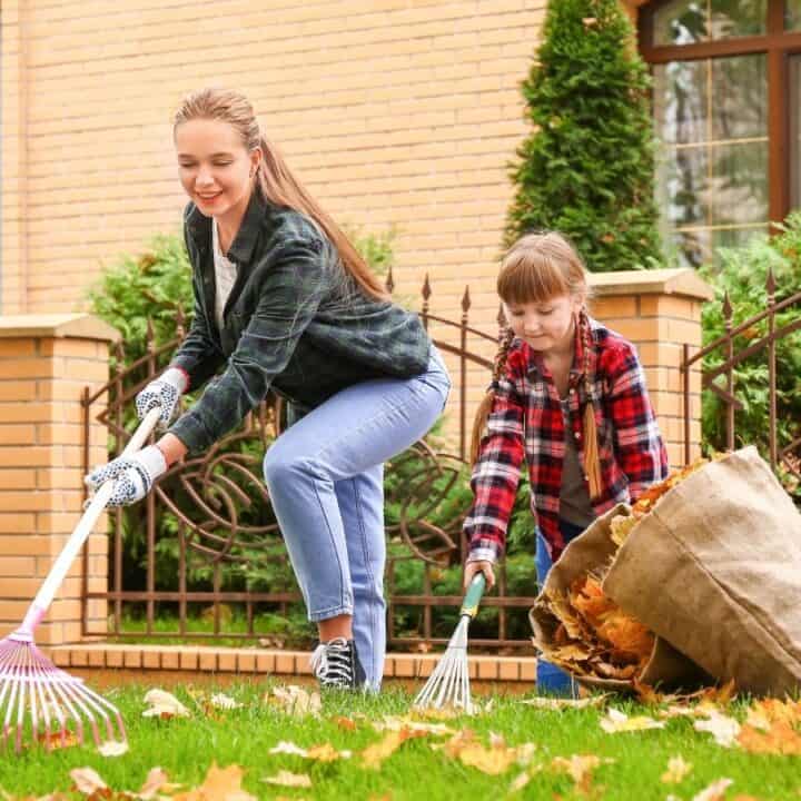 Two girls are raking fallen leaves on a lawn in front of a brick building, with one holding a rake and the other collecting leaves in a large bag.