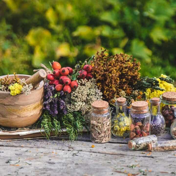 A collection of dried herbs, flowers, and spices in small jars and a mortar and pestle arranged on a rustic wooden table outdoors.
