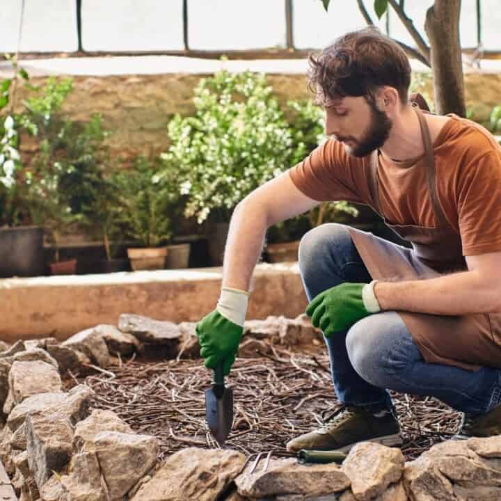 A man wearing an apron and gloves is gardening indoors, using a trowel to dig in a soil bed surrounded by rocks and plants.