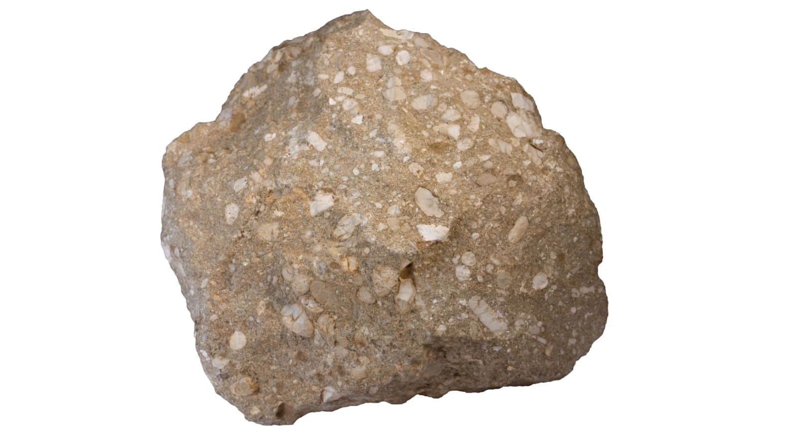 A rough, light brown conglomerate rock with visible white and tan mineral fragments, set against a plain white background.