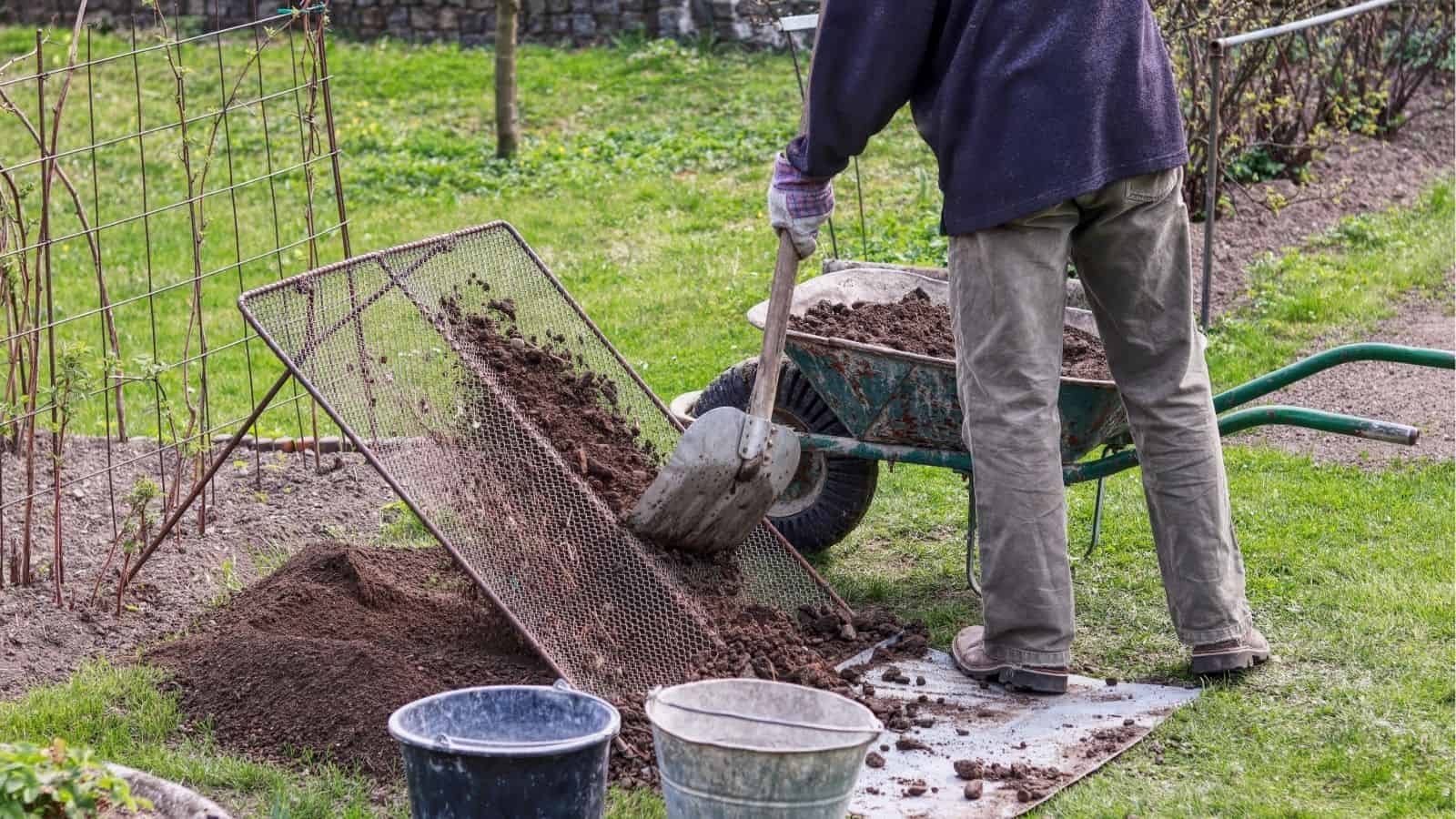 A person uses a shovel to sift soil through a wire mesh into a wheelbarrow in a garden, with buckets nearby.