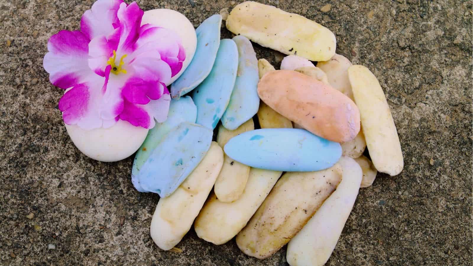 Assorted pastel-colored clay pieces and a purple flower with white petals arranged on a rough stone surface.