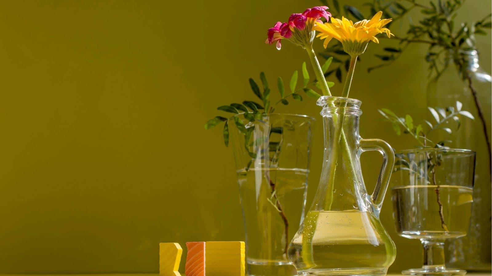 A glass pitcher with water holds two flowers, one pink and one yellow, next to glass cups with water and green leaves, against a yellow-green background.