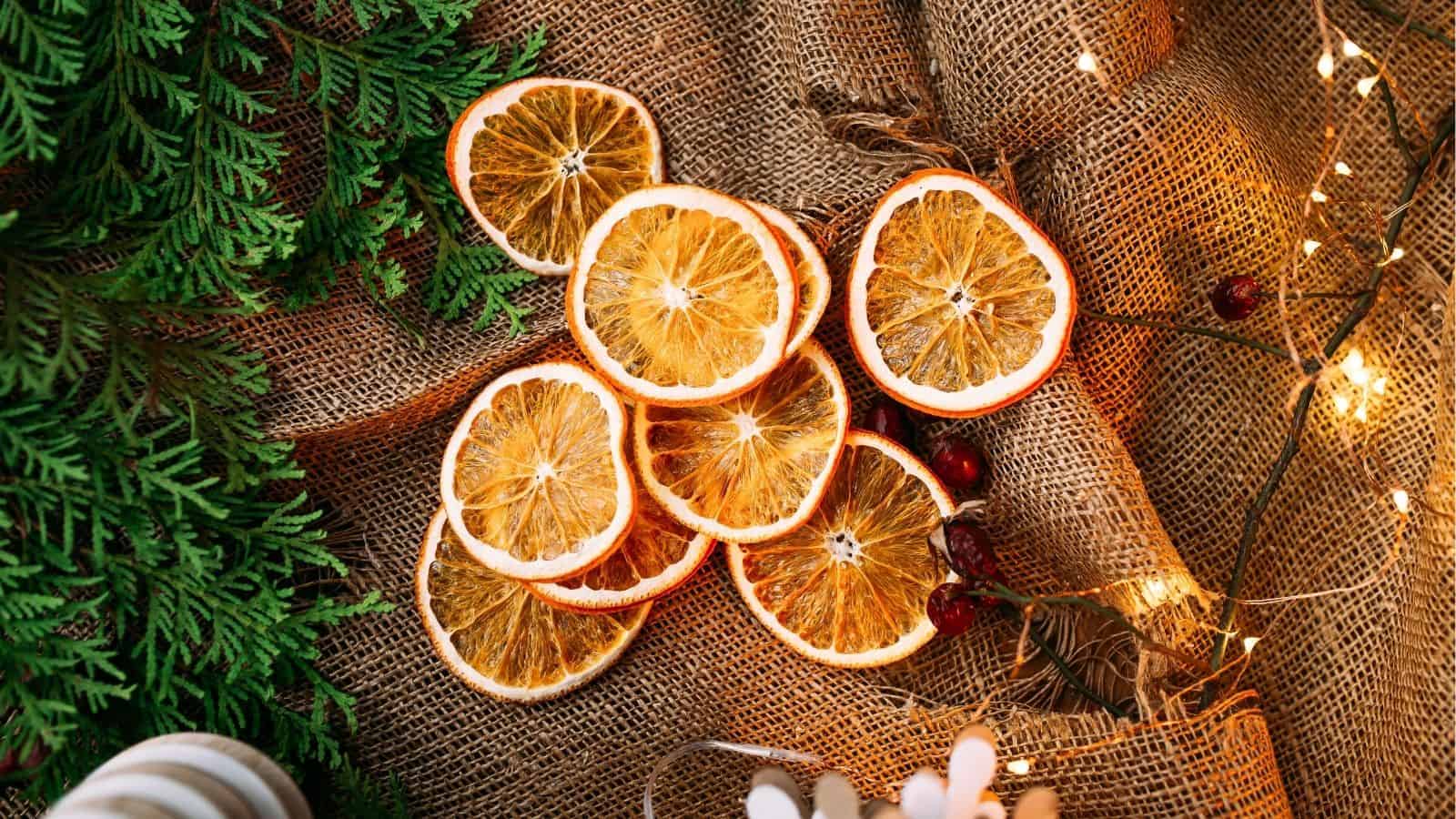 Slices of dried orange arranged on burlap fabric, with evergreen branches, red berries, and string lights nearby.