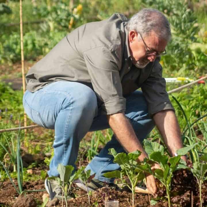 get 'em in the ground