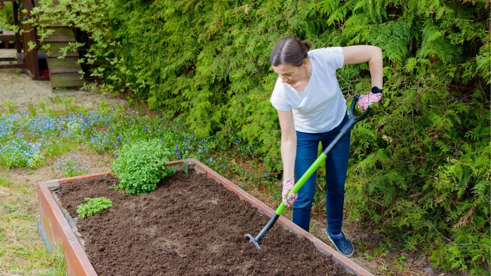 15 simple steps to build nutrient-rich soil in raised beds • Schisandra ...
