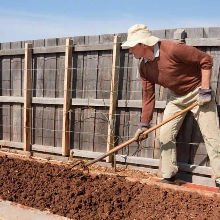 A person wearing a hat and gloves is using a hoe to cultivate soil in a raised garden bed beside a wooden fence.