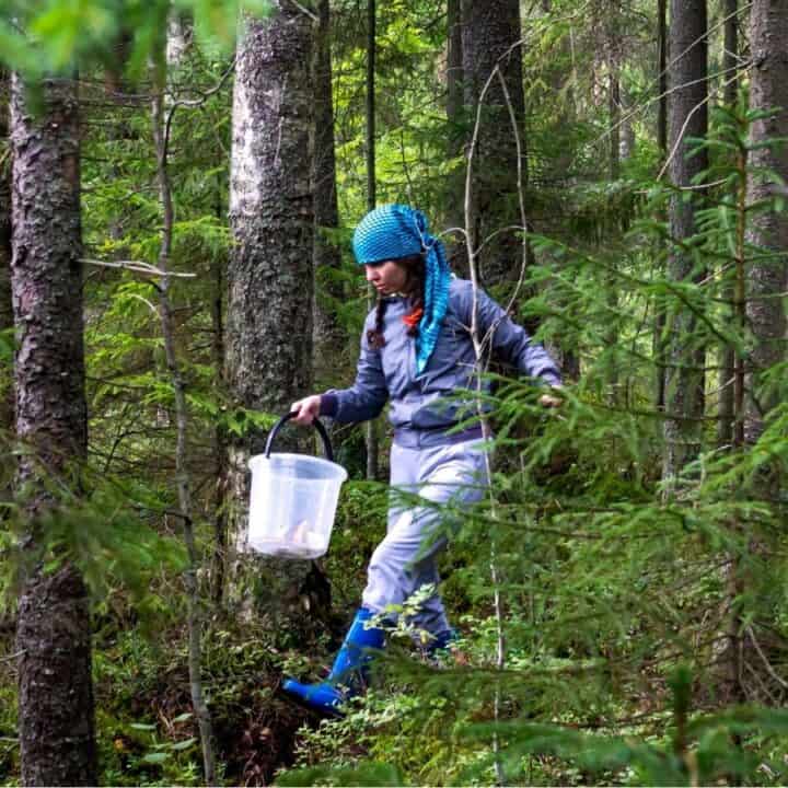 A person wearing a blue scarf and boots walks through a dense green forest holding a transparent plastic bucket.