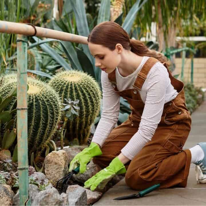A woman wearing brown overalls and green gloves kneels on a garden path, tending to rocks and plants near large cacti in a greenhouse or botanical garden setting.