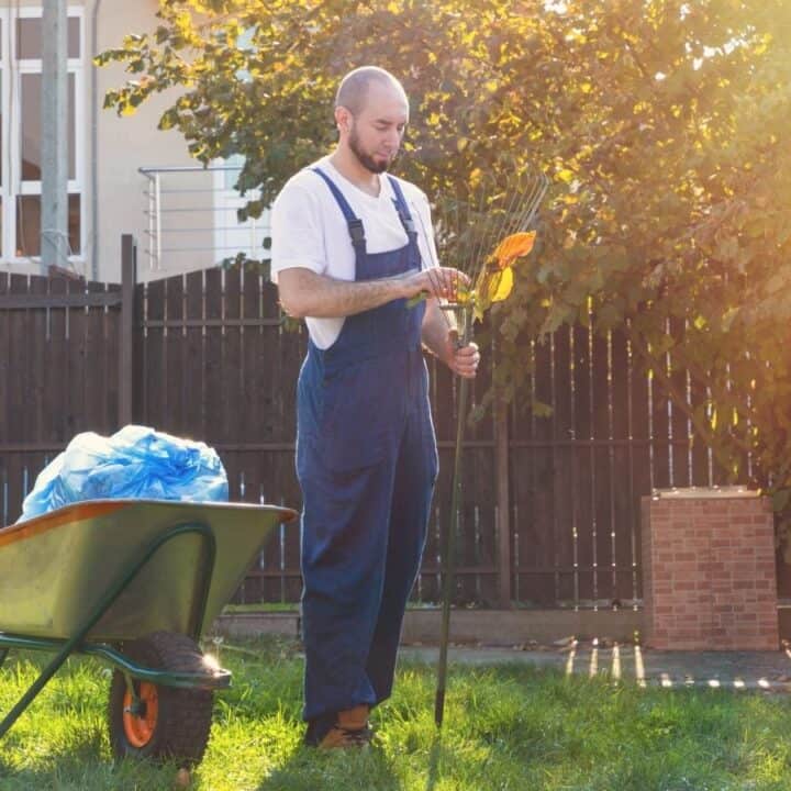 A man in overalls stands in a garden holding a flower next to a wheelbarrow filled with plastic bags, with a house and trees in the background.
