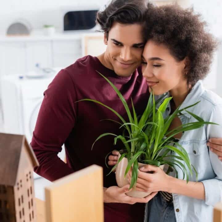 A couple stands close together in a kitchen, smiling and holding a potted plant. Moving boxes and a model house are visible in the foreground.