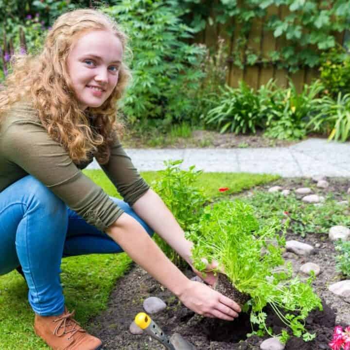 A woman with curly hair kneels on grass, planting a green leafy plant in a garden bed. Gardening tools and other flowers are visible nearby.