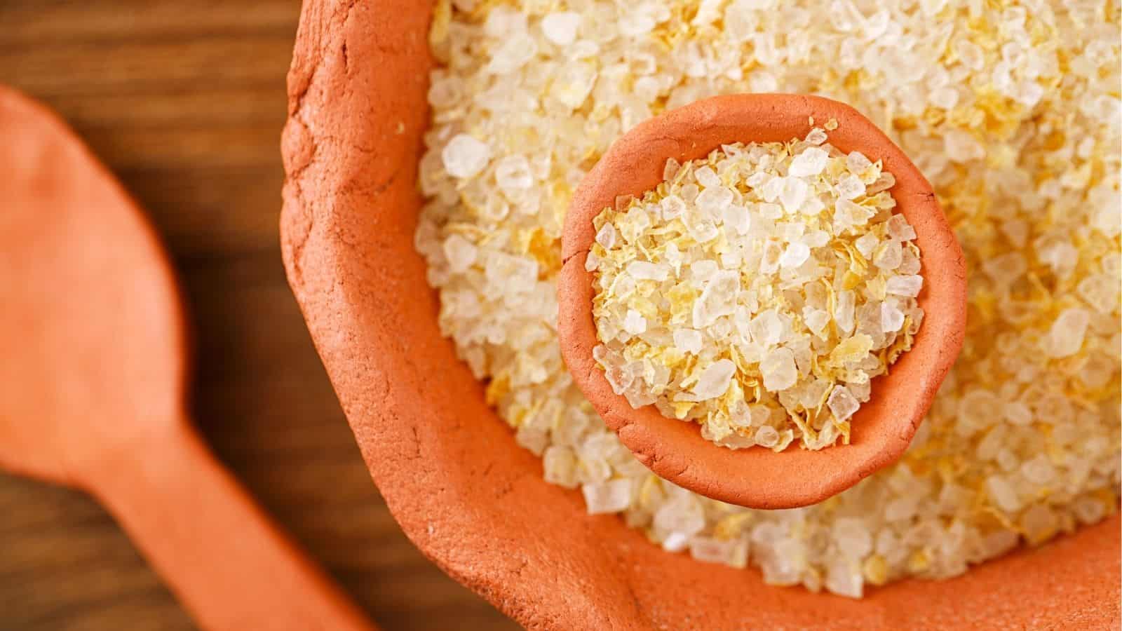 Close-up of coarse sea salt crystals in a small clay bowl, placed inside a larger clay dish, with a wooden spoon visible in the background.