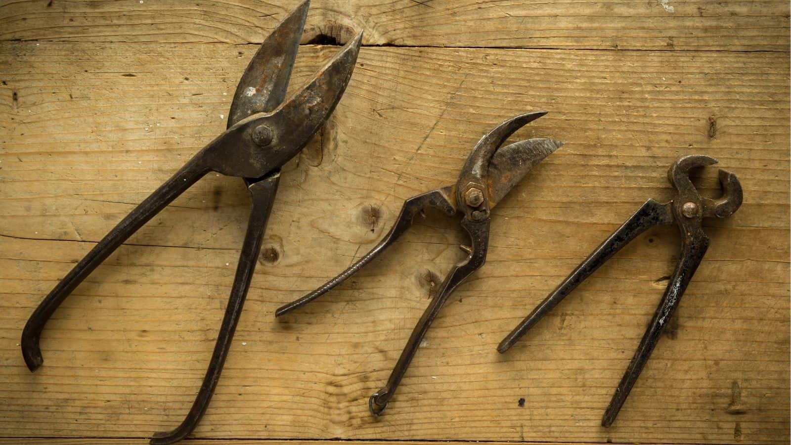 Three old, rusty hand tools, including pliers and cutters, are arranged on a wooden surface.