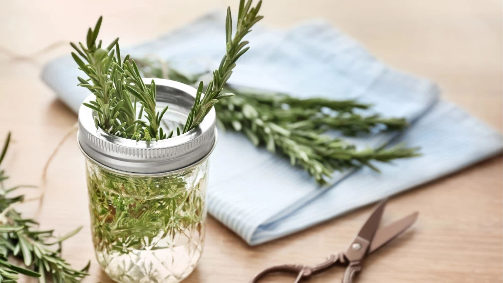 A jar with fresh rosemary sprigs in water sits on a table next to folded blue cloth and a pair of scissors.