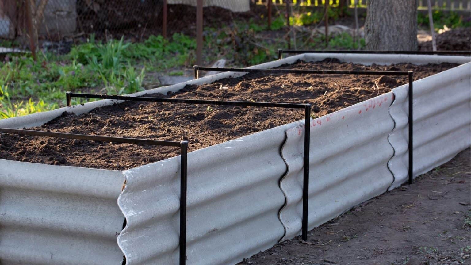 15 simple steps to build nutrient-rich soil in raised beds • Schisandra ...