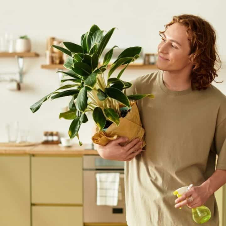 Person holding a potted plant and a spray bottle stands in a kitchen with green cabinetry and wooden shelves in the background.