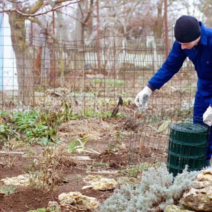 A person in blue coveralls and gloves works with a roll of green wire mesh in a garden with bare trees and sparse vegetation.