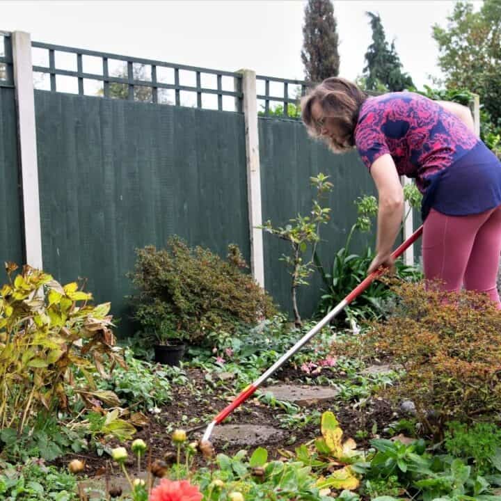 A woman in casual clothes uses a hoe to tend to a garden bed next to a wooden fence, surrounded by various plants and flowers.
