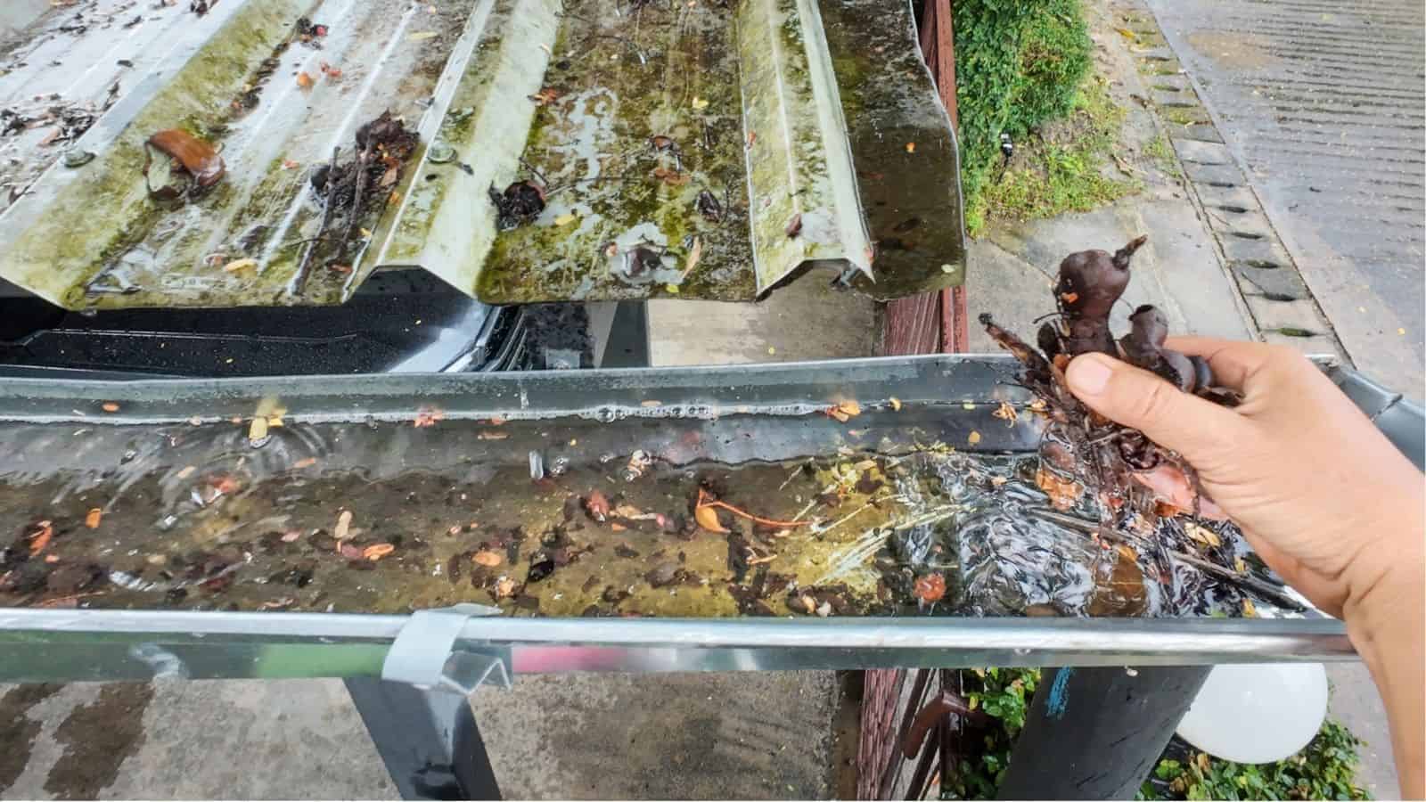 A hand removes wet leaves and debris from a rain gutter filled with water and organic material, under a corrugated metal roof.