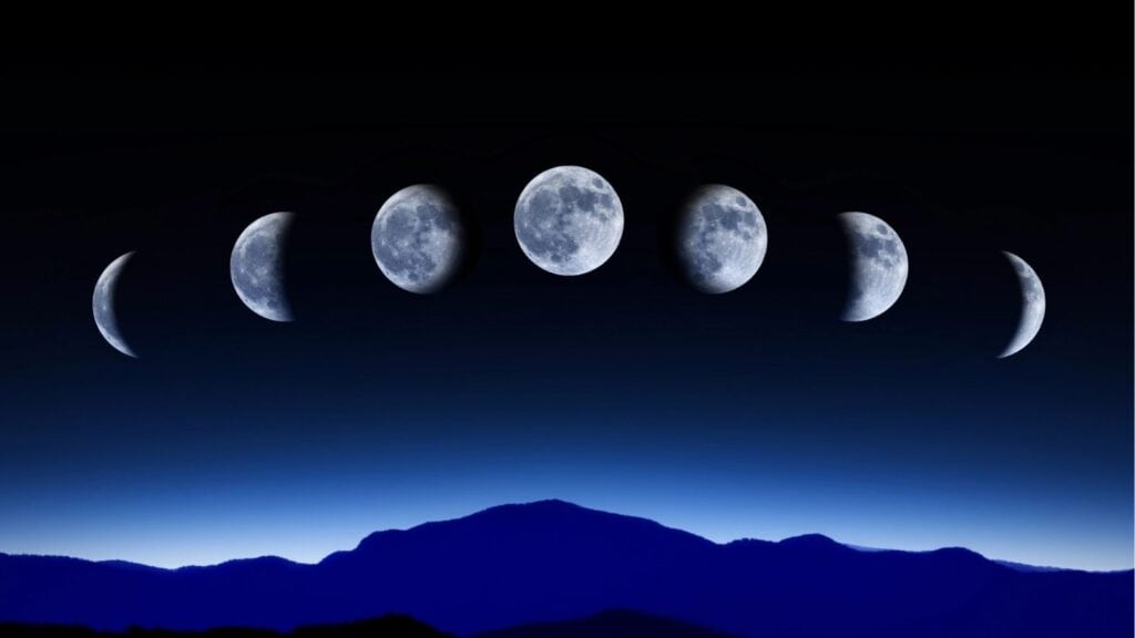 15 old-world nature myths that still spark wonder today • Schisandra ...