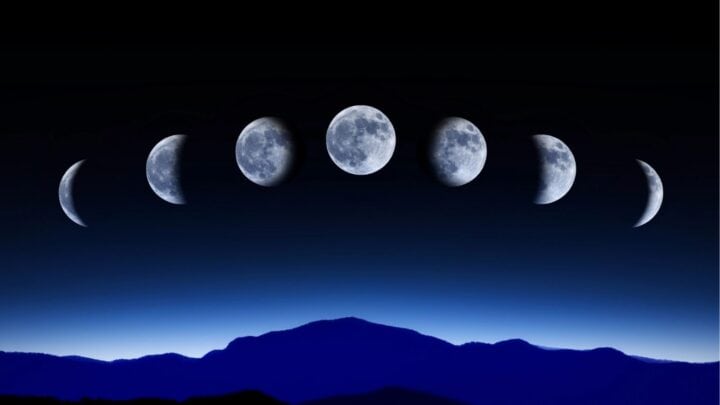 15 old-world nature myths that still spark wonder today • Schisandra ...