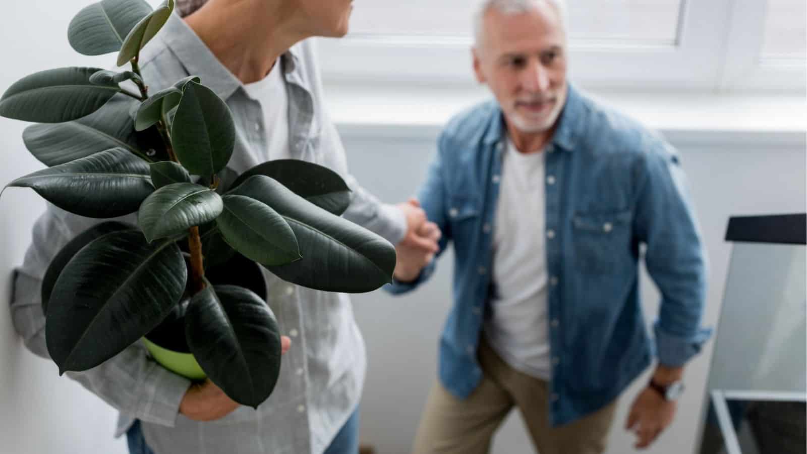 An older woman holding a potted rubber plant stands next to an older man, who appears to be walking up a staircase while looking up at her.