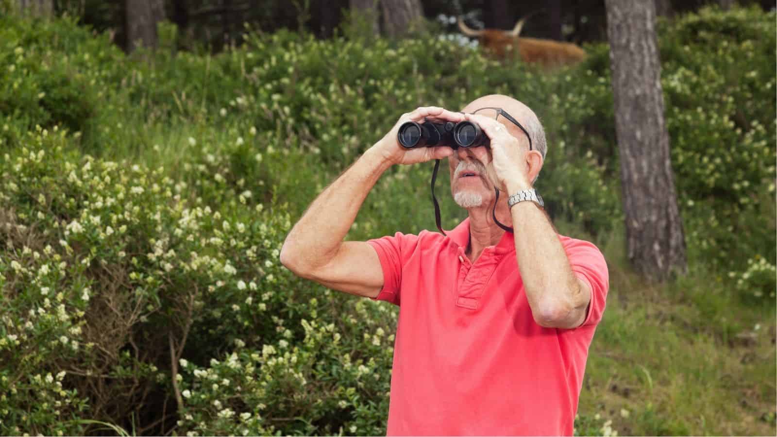 An older man in a red polo shirt uses binoculars to look into the distance while standing outdoors near green bushes and trees.