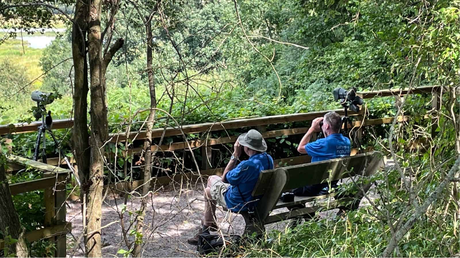 Two people in blue shirts sit on a bench using binoculars to observe nature, with cameras and tripods set up nearby, surrounded by trees and greenery.